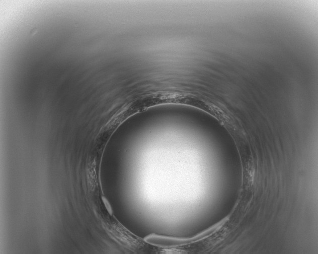 X0000054420376200508051812