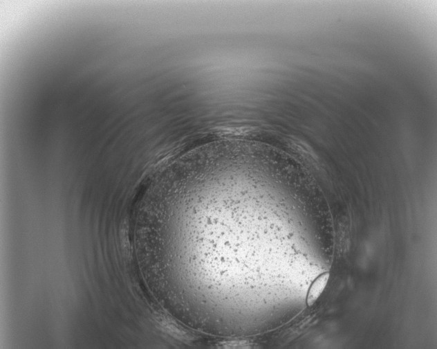 X0000054420377200508051812