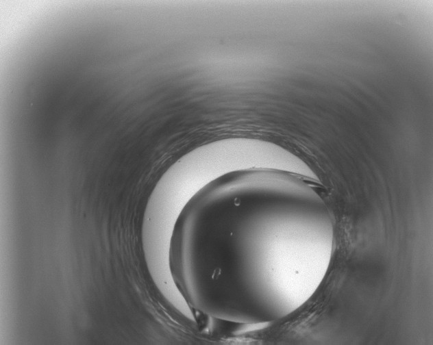 X0000054420380200508051812