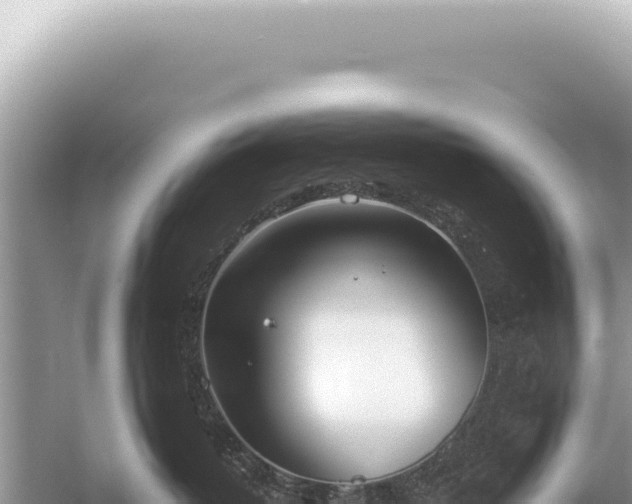 X0000054420382200508051812