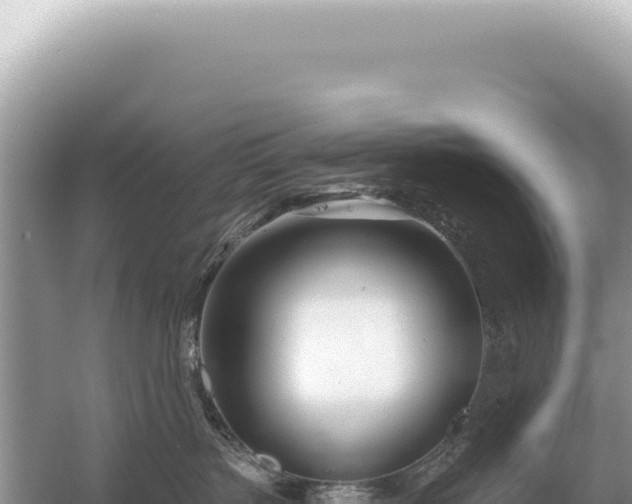 X0000054420383200508051812