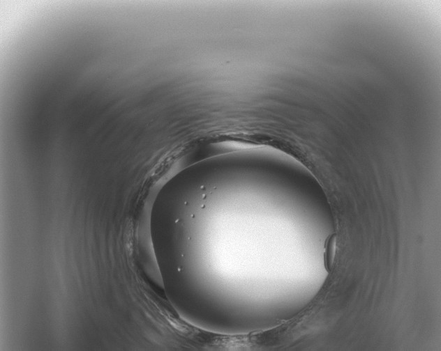 X0000054420384200508051812