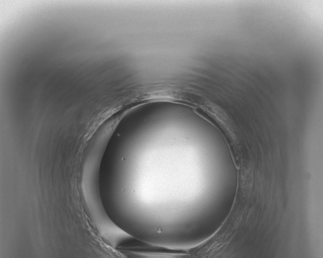 X0000054420385200508051811