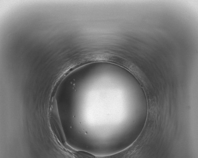 X0000054420386200508051811