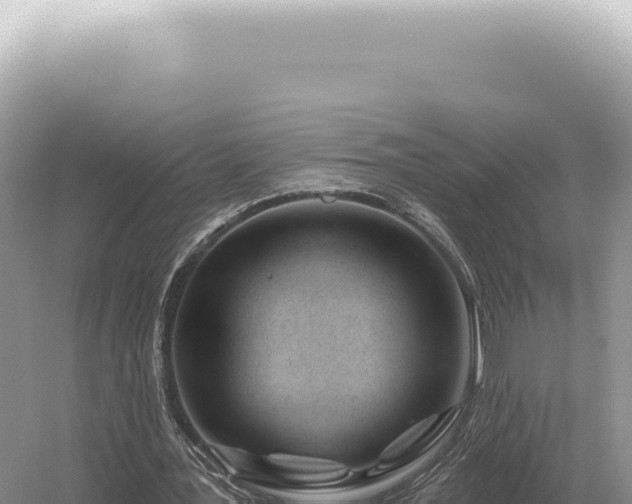 X0000054420387200508051811