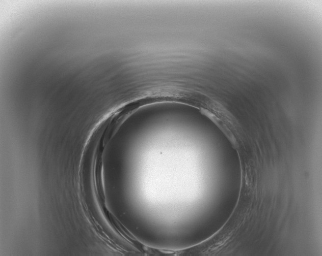 X0000054420388200508051811