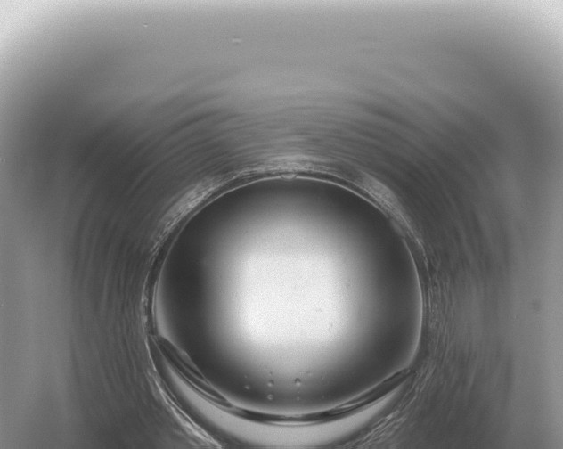 X0000054420389200508051811