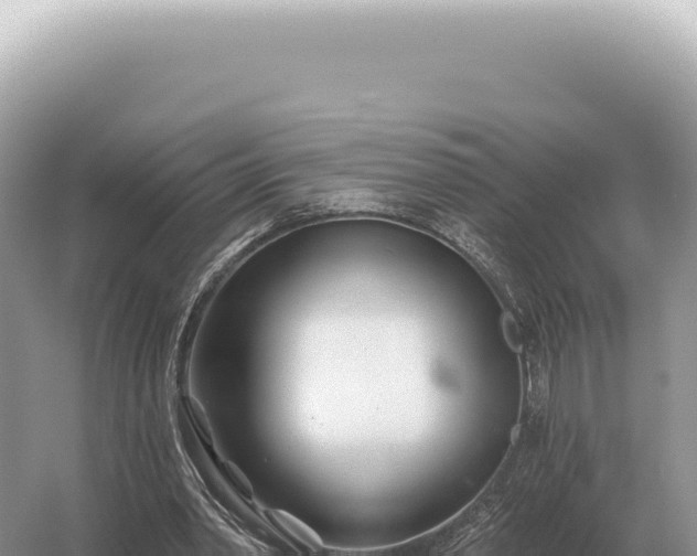 X0000054420390200508051811