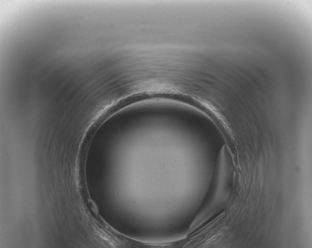 X0000054420391200508051811