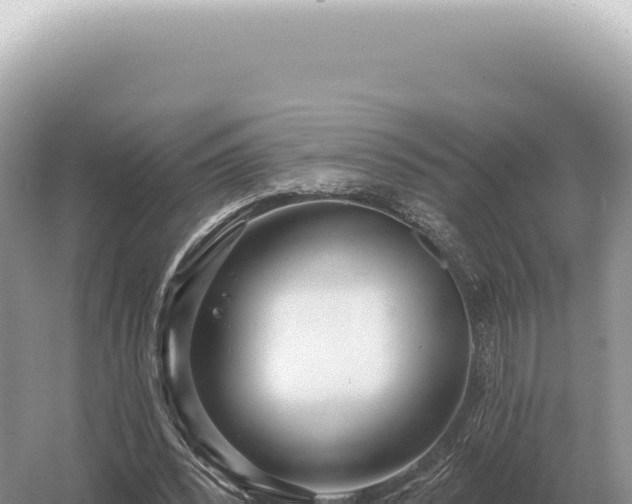 X0000054420392200508051811