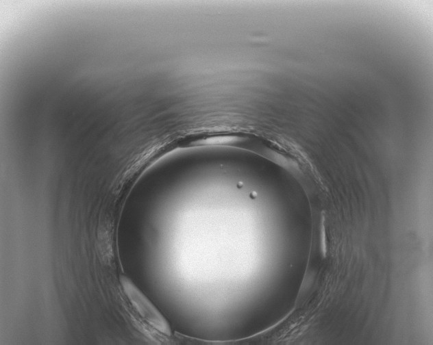 X0000054420393200508051811