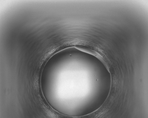 X0000054420394200508051811