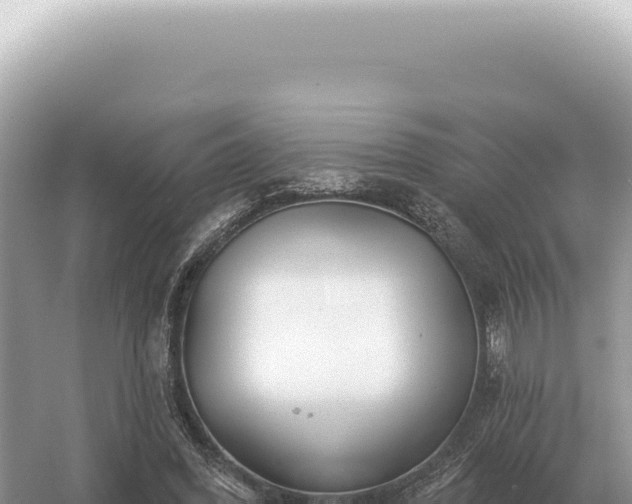 X0000054420396200508051811