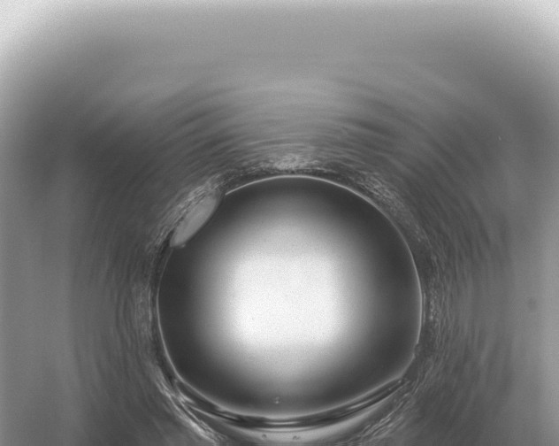 X0000054420397200508051811