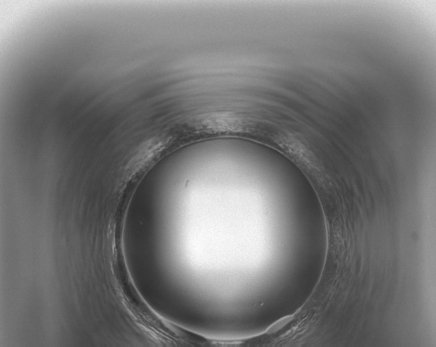 X0000054420398200508051811