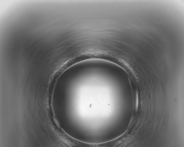 X0000054420399200508051811