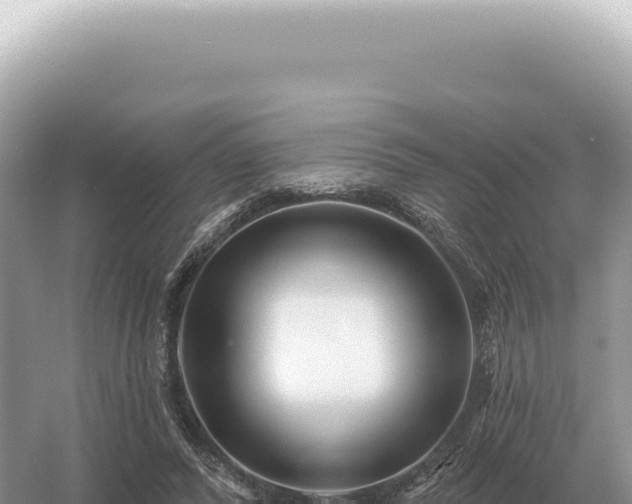 X0000054420400200508051811