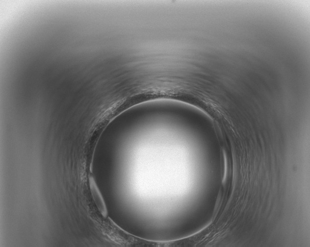 X0000054420403200508051811