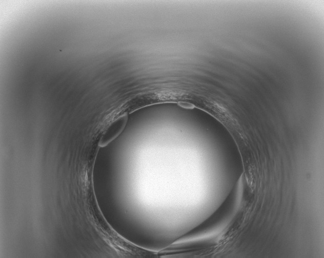 X0000054420405200508051811