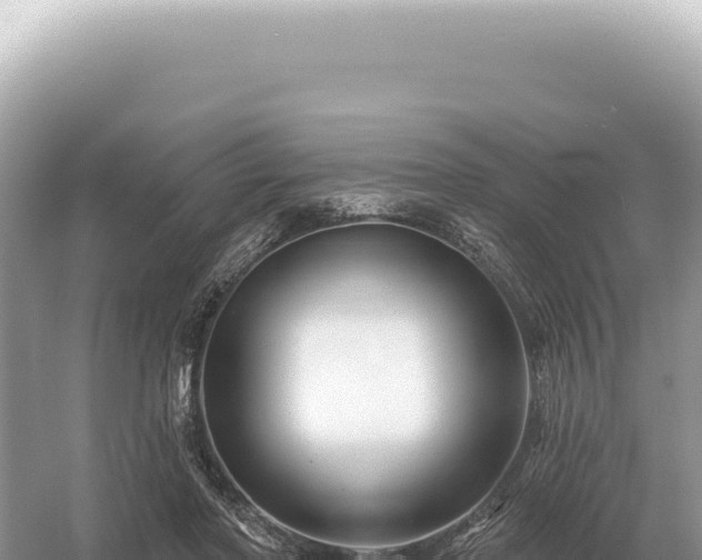 X0000054420406200508051811