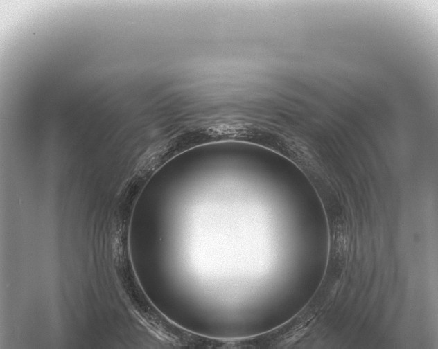 X0000054420408200508051811