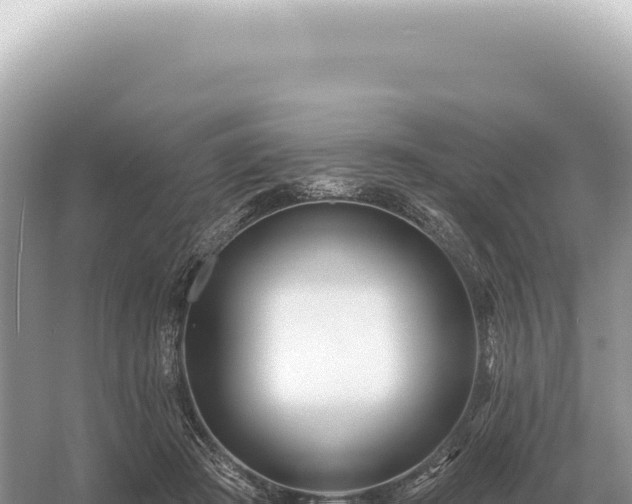 X0000054420409200508051811