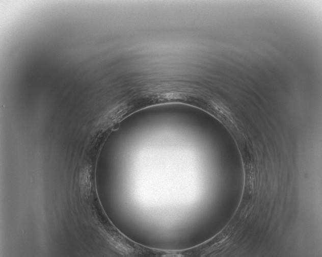 X0000054420410200508051811