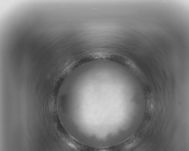 X0000054420411200508051811