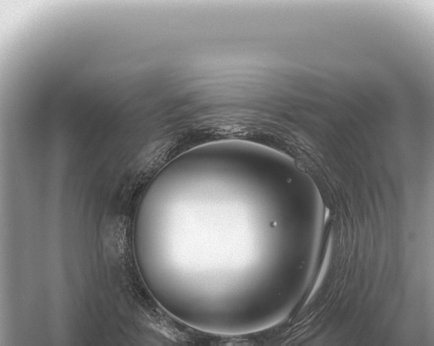 X0000054420412200508051811