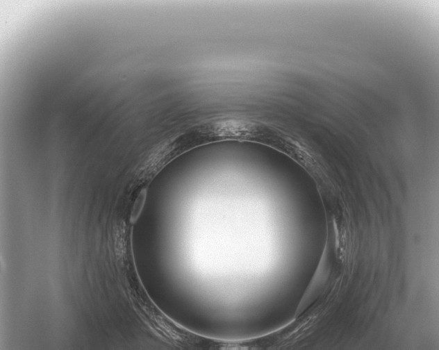 X0000054420413200508051811