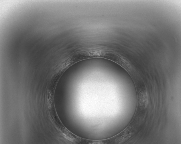 X0000054420414200508051811