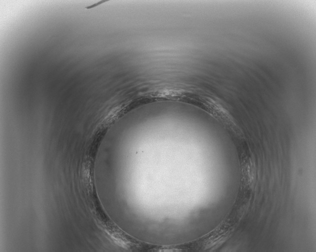 X0000054420415200508051811