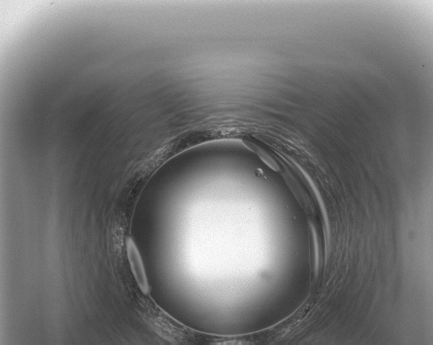 X0000054420417200508051811