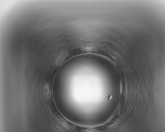 X0000054420420200508051811