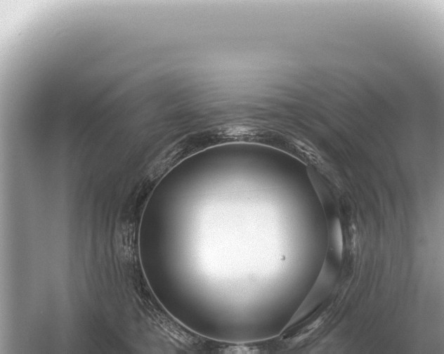 X0000054420421200508051811