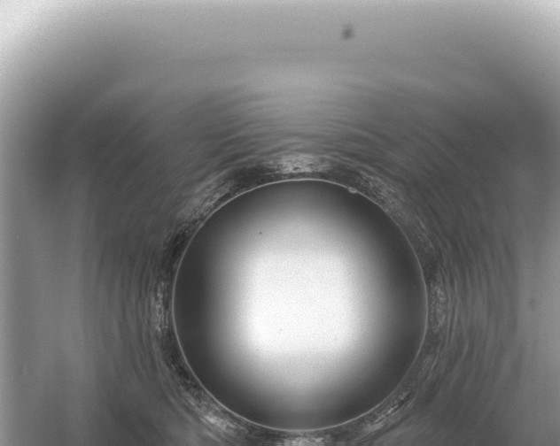 X0000054420422200508051811