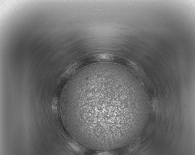 X0000054420423200508051811