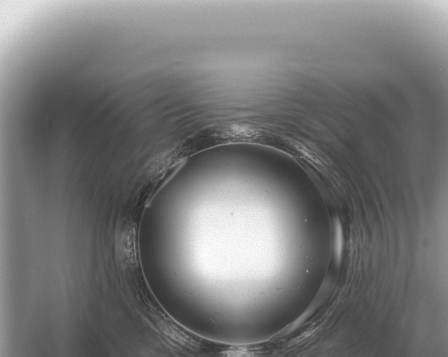 X0000054420425200508051811