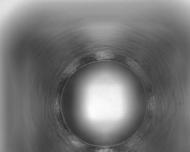 X0000054420426200508051811