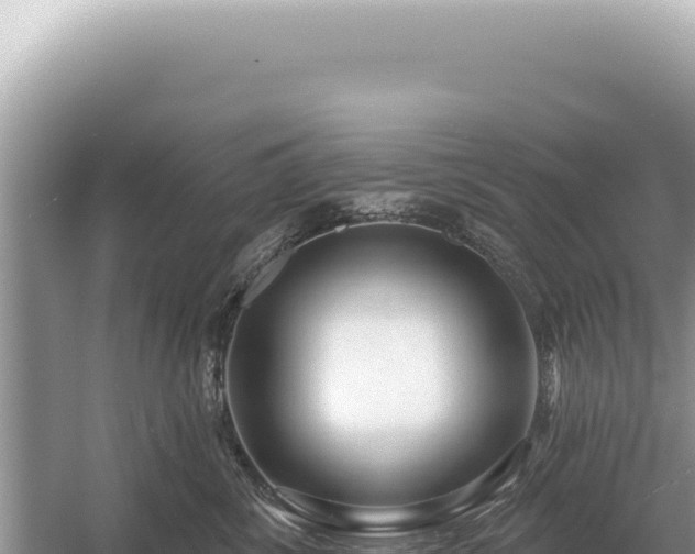 X0000054420428200508051811