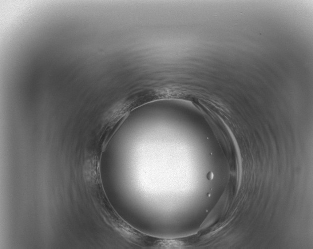 X0000054420429200508051811