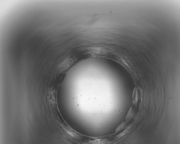 X0000054420430200508051811