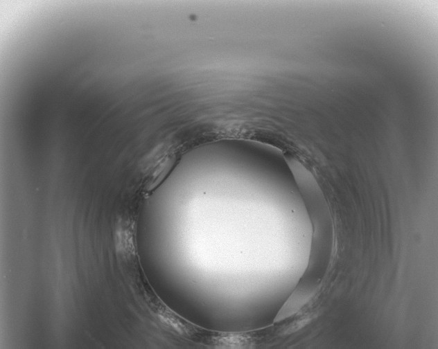 X0000054420432200508051811