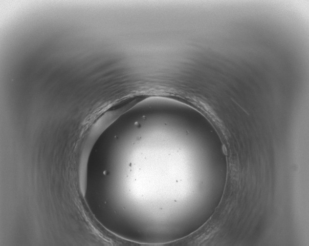 X0000054420433200508051810