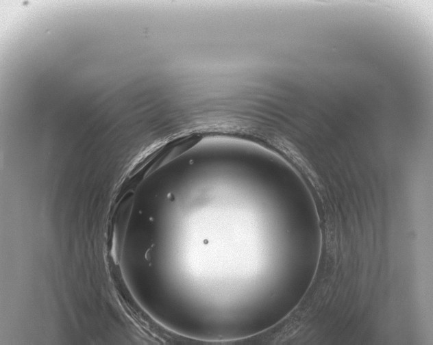 X0000054420434200508051810