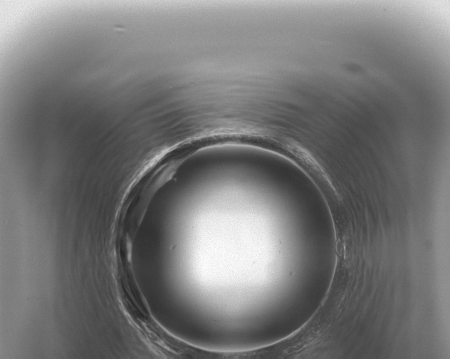 X0000054420436200508051810