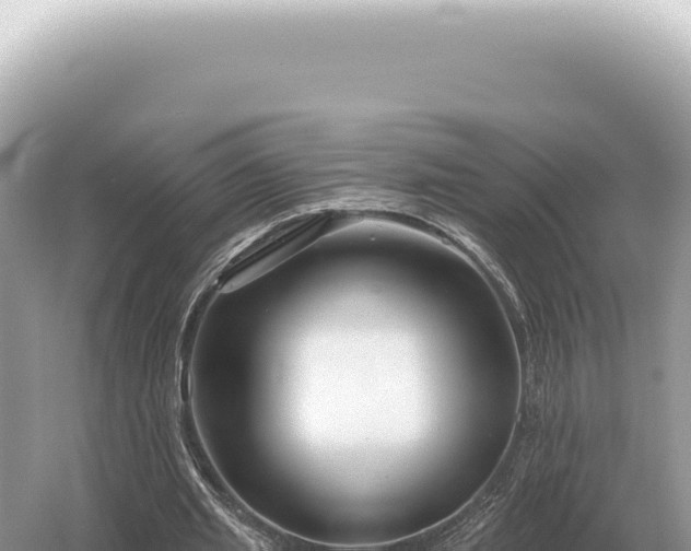 X0000054420437200508051810