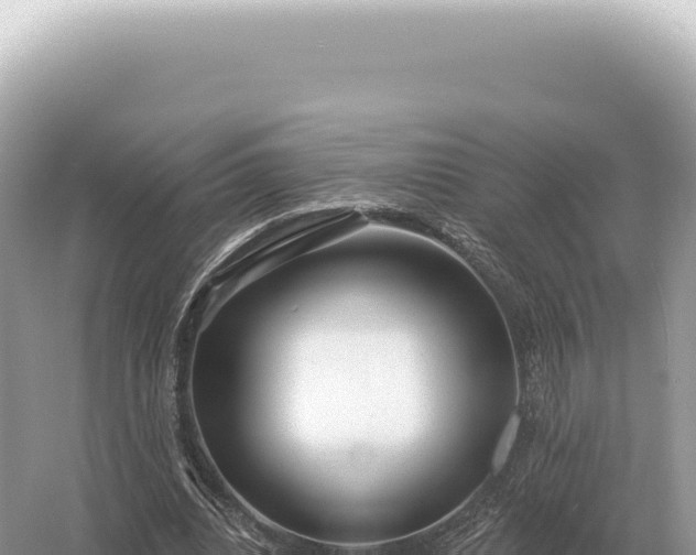 X0000054420440200508051810