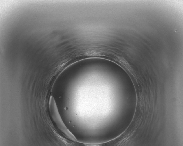 X0000054420441200508051810