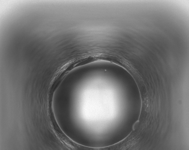 X0000054420442200508051810